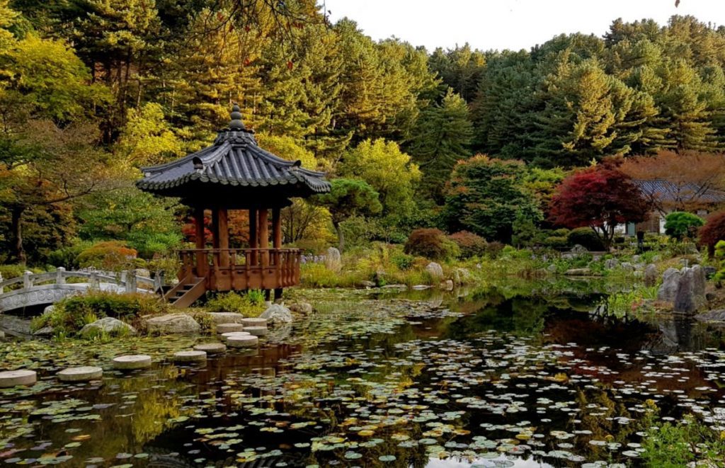 Beautiful Pond Views in The Garden of Morning Calm
