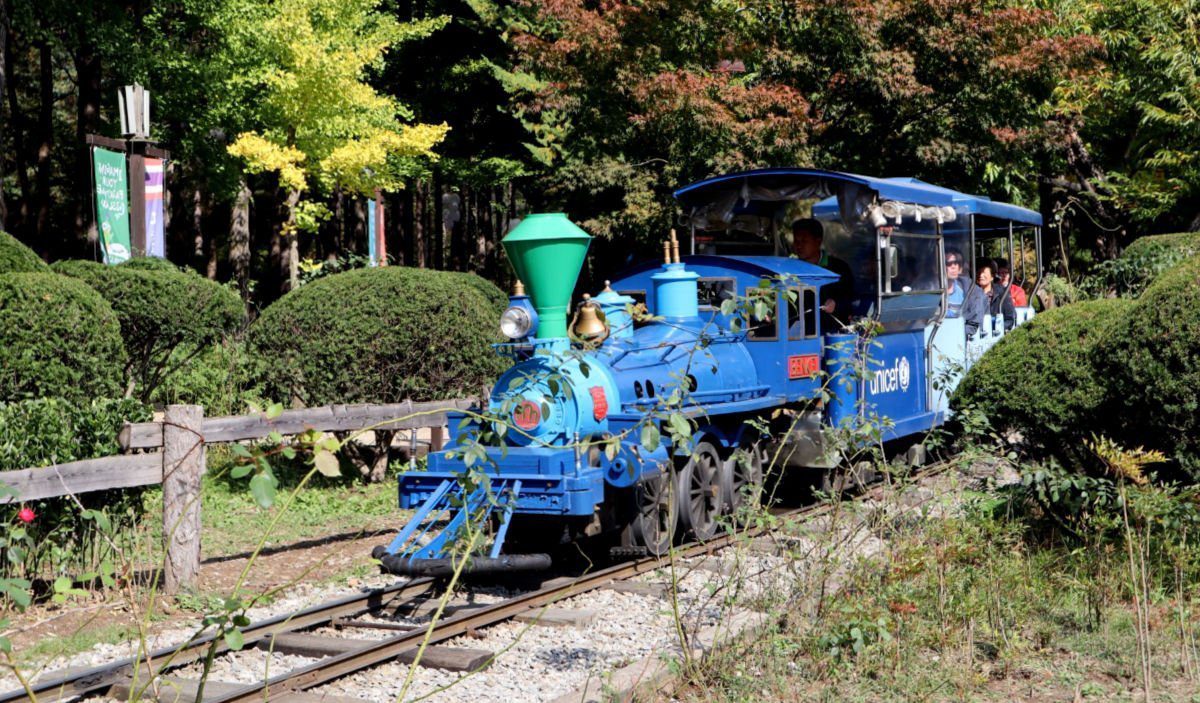What to Do on Nami Island | Korea Travel Planning