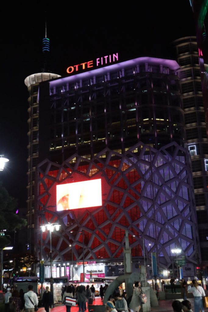 Shopping in the Dongdaemun Shopping Malls